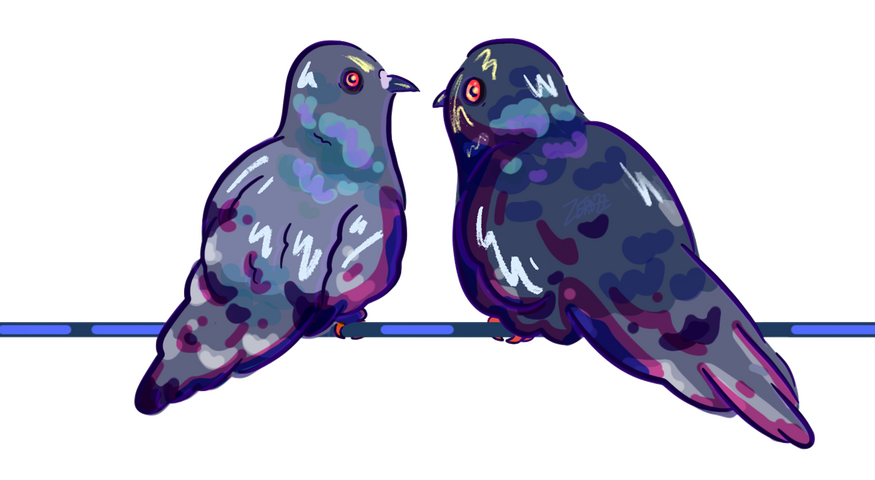 pigeons on a wire, being aware of their existence pigeons on a wire, being aware of their existence