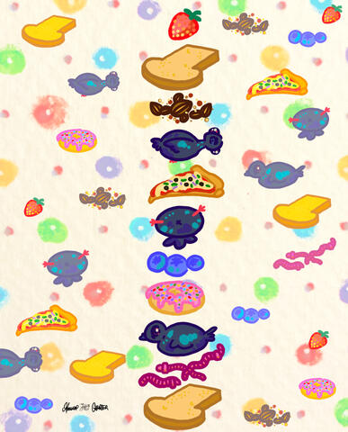 drawing of pigeons and random foods