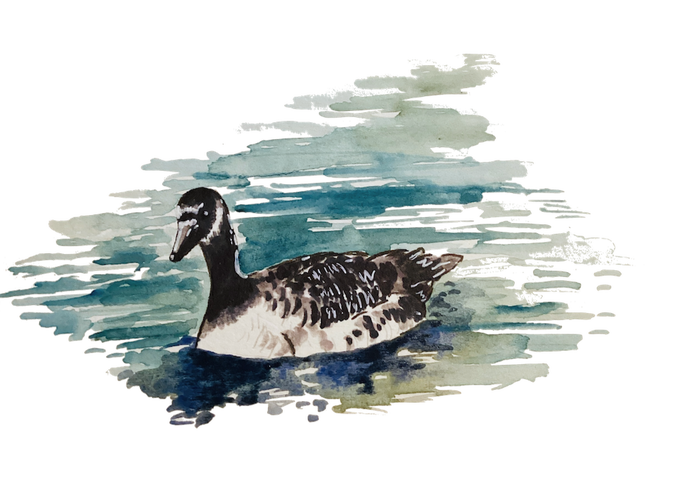 goose goose