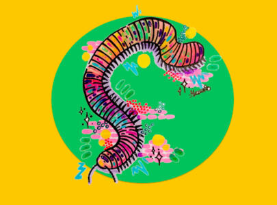 rainbow millipede drawing