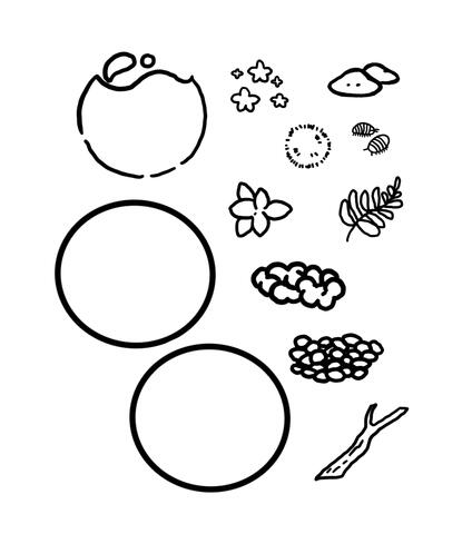 bubble terrarium and aquarium coloring sheet