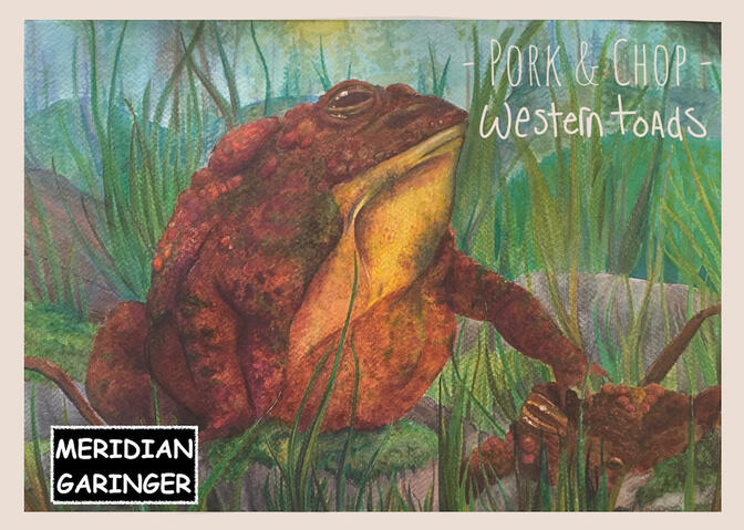 Pork and Chop, western toads for ODFW 2024