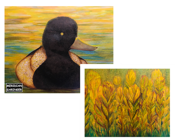 lesser scaup and golden paintbrushes for ODFW 2025