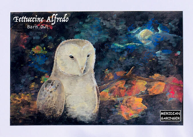 Fettuccine Alfredo, Barn Owl for PA WTFW contest (did not enter)
