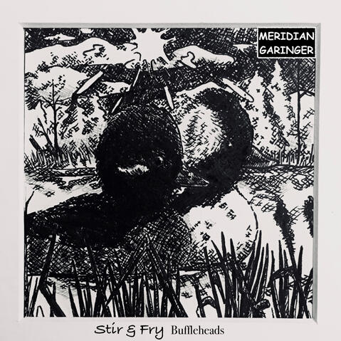 Stir And Fry, Buffleheads for Michigan's Duck Stamp Contest (50th Anniv.)